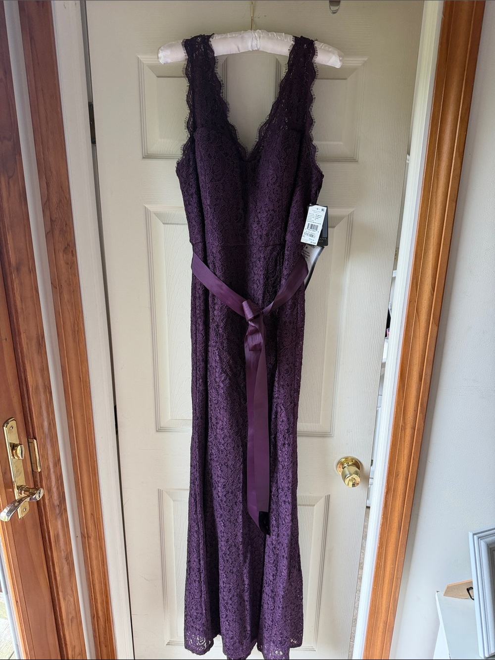 Adrianna Papell Deep Plum Lace V-Neck Sleeveless Maxi Dress